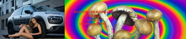 твердый Абинск