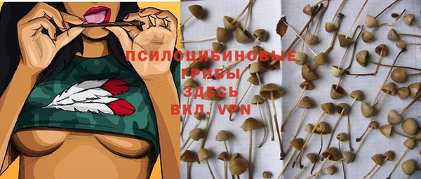 ECSTASY Абдулино