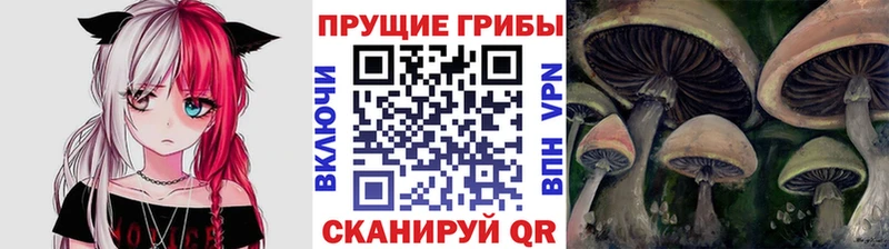 как найти наркотики  кракен ТОР  Галлюциногенные грибы ЛСД  Серпухов 